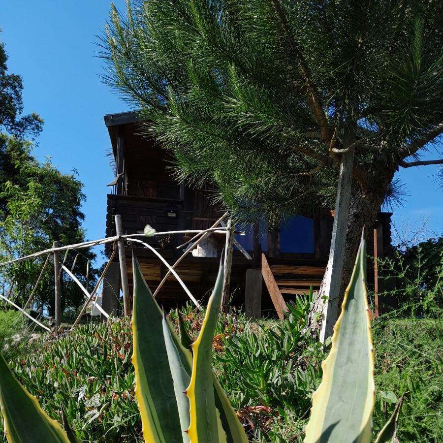 Bed and Breakfast Casa Do Sobreiro 2 Serra das Alhadas Экстерьер фото